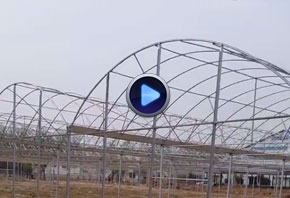 温室连栋大棚视频拍摄