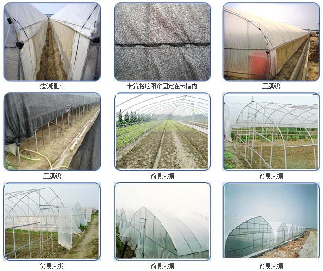 固定大棚薄膜，简易大棚安装完成