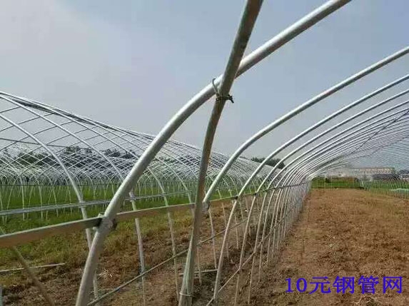 6分大棚管图片