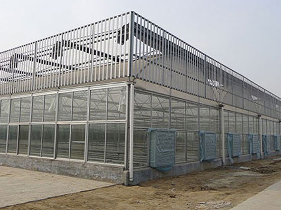 圆拱形阳光板连栋温室大棚