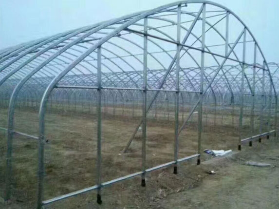 椭圆管大棚棚头图片