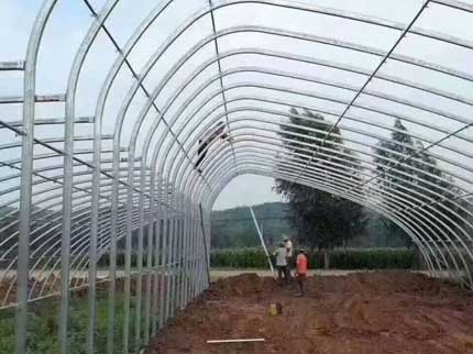 椭圆管阴阳棚图片