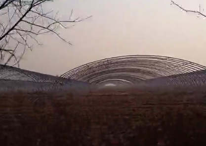 椭圆管大棚基地拍摄视频