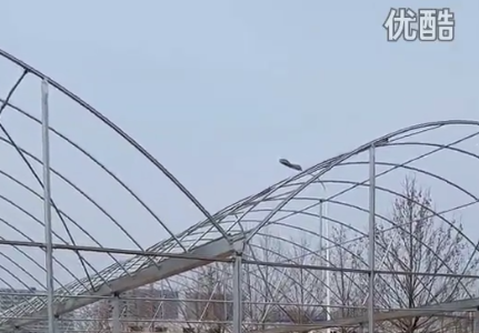 简易连栋大棚高清视频拍摄