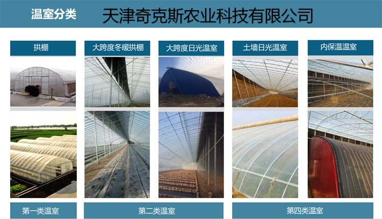 农用大棚的造型结构分类图片