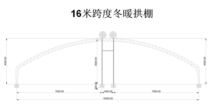 16米跨度冬暖式拱棚图纸