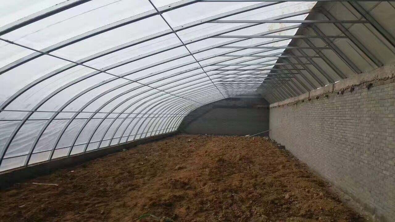 砖墙日光温室图片