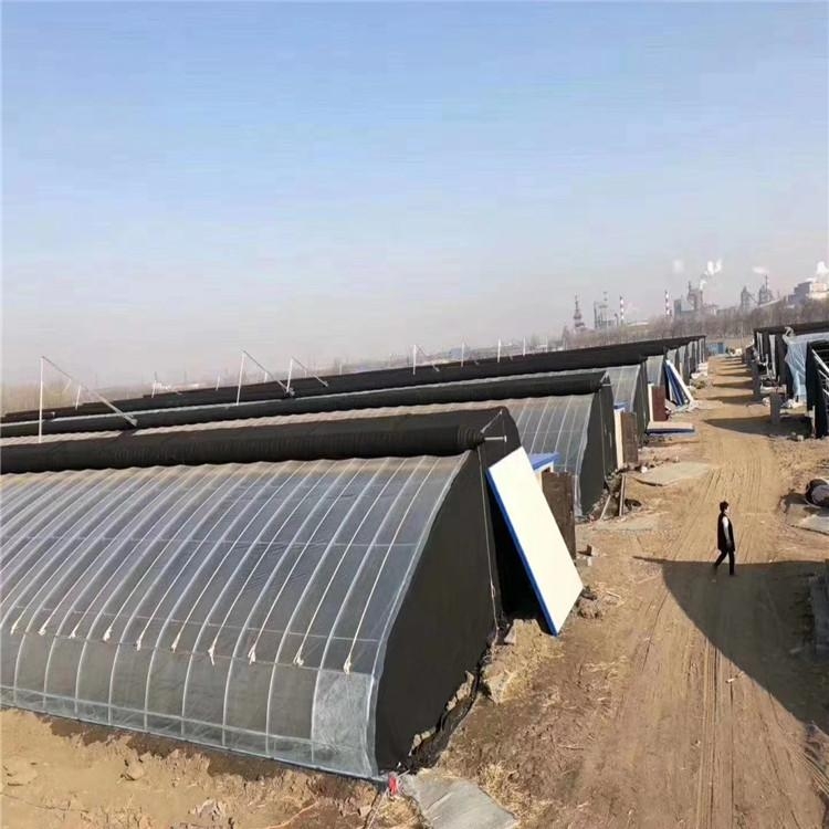 温室大棚图片 温室大棚图片